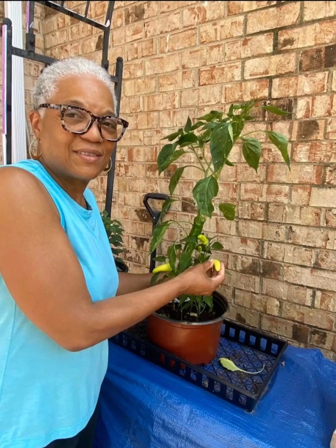 Gardening